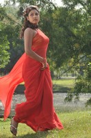 Mona Saree Photos